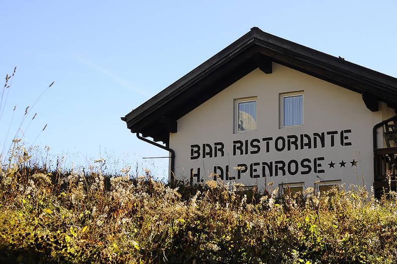 Hotel Alpenrose Passo Rolle Buitenkant foto