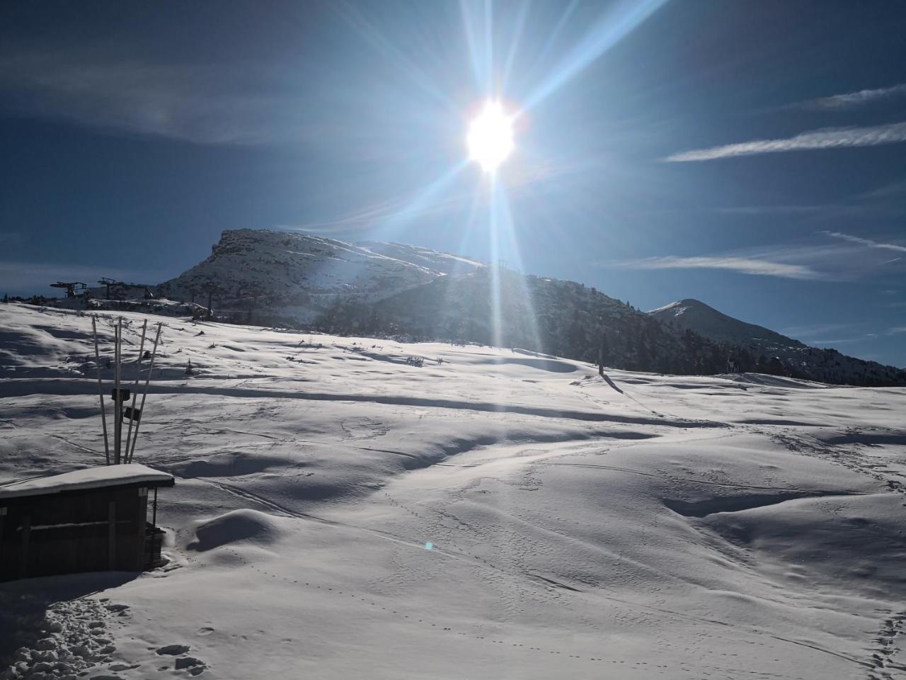 Hotel Alpenrose Passo Rolle Buitenkant foto