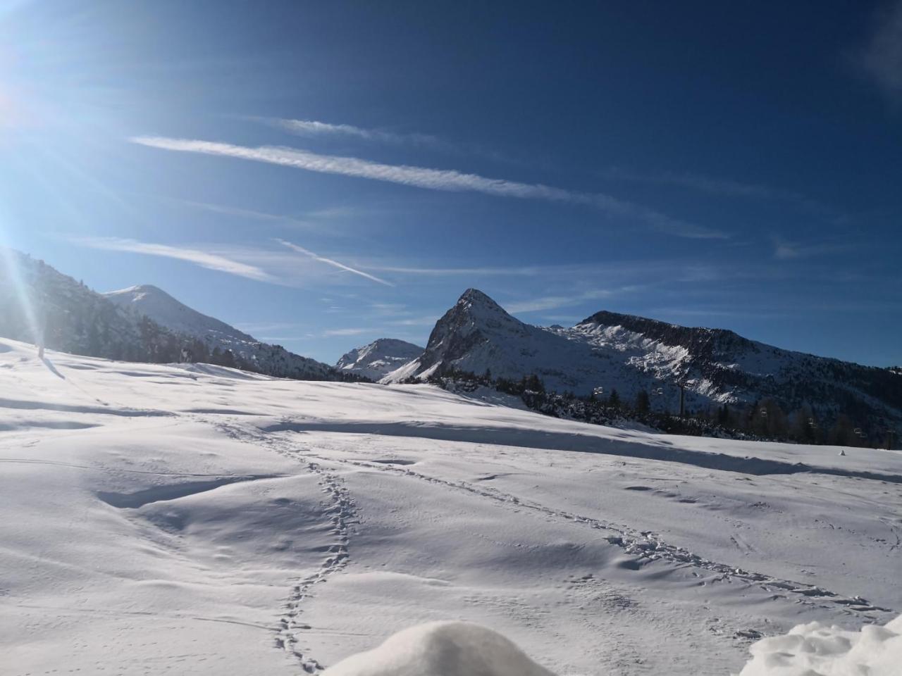Hotel Alpenrose Passo Rolle Buitenkant foto